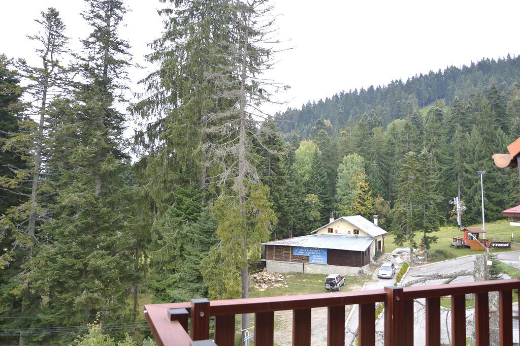 Persey Flora Apartments Borovets Extérieur photo