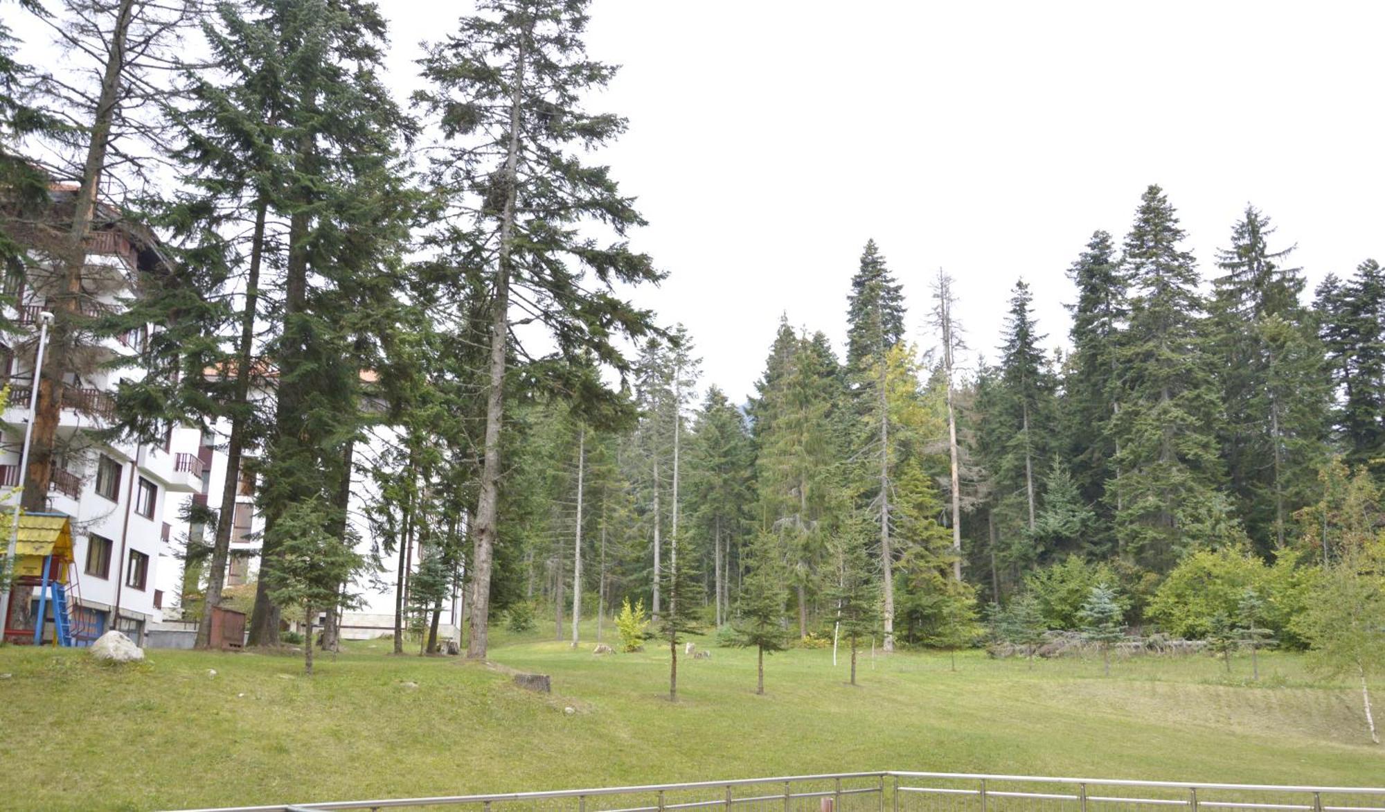 Persey Flora Apartments Borovets Extérieur photo