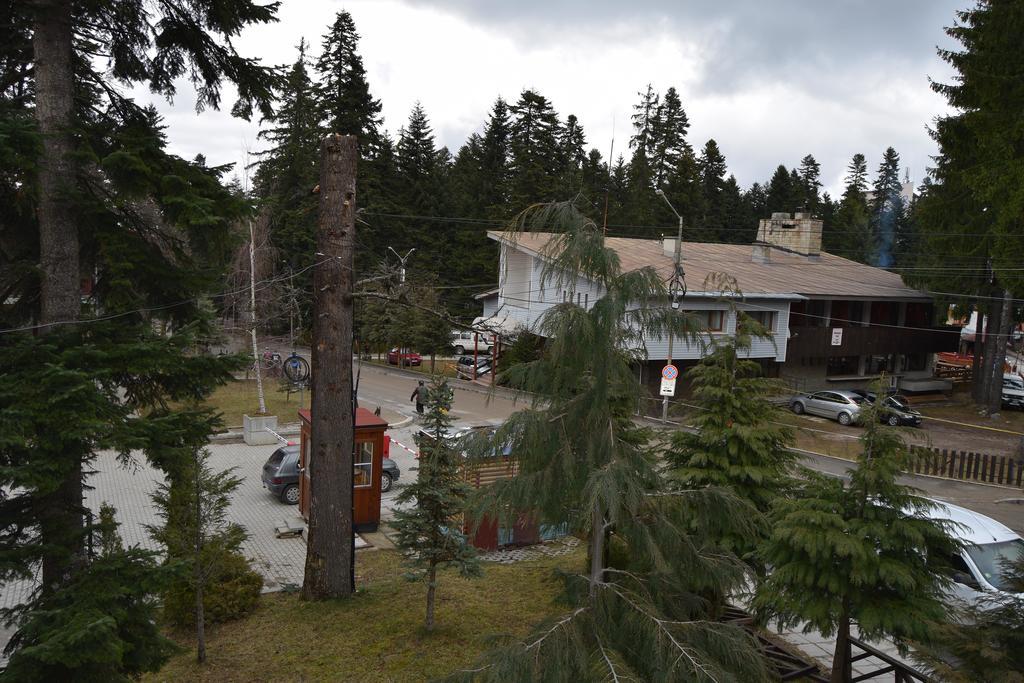 Persey Flora Apartments Borovets Extérieur photo